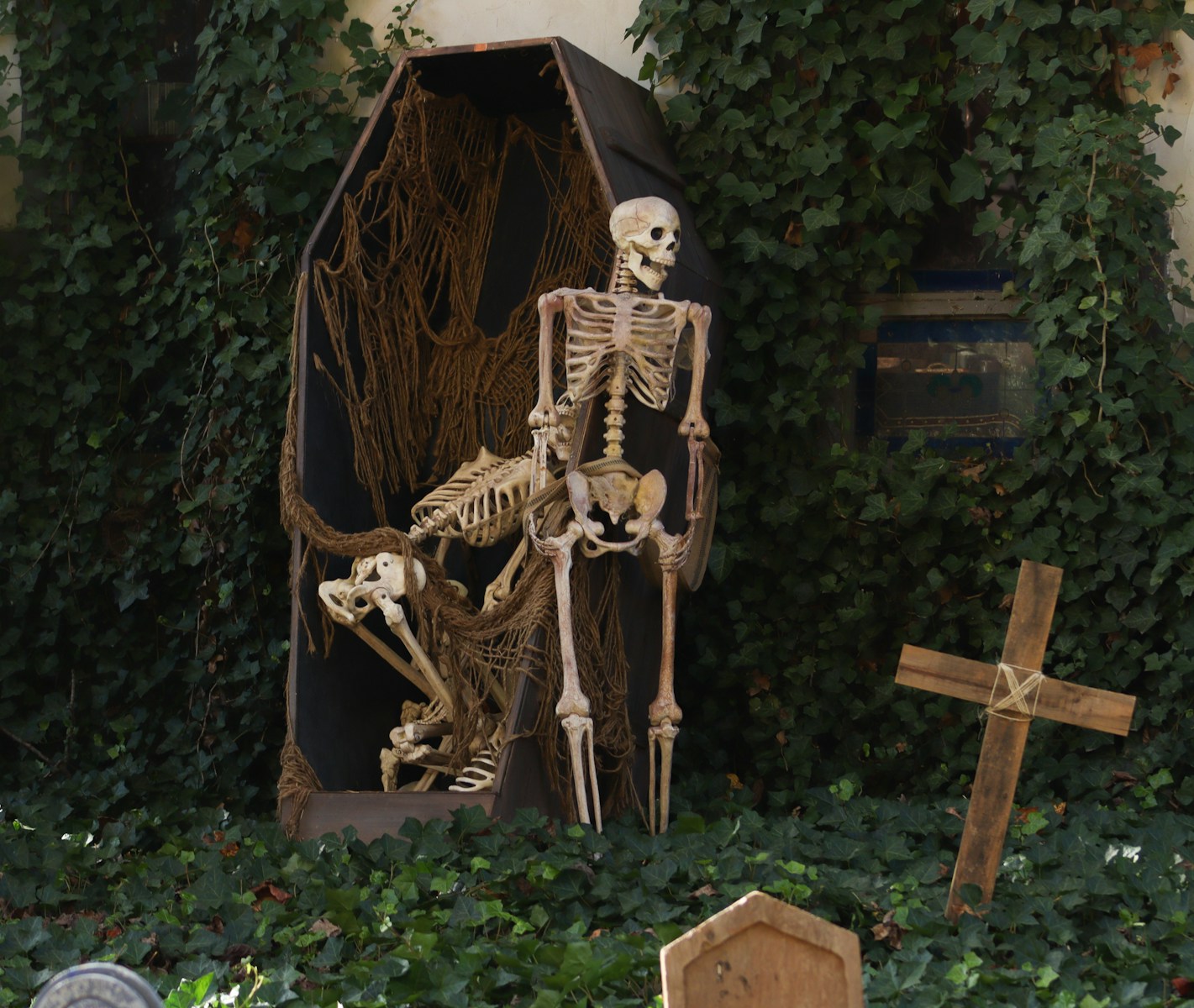a skeleton in a garden
